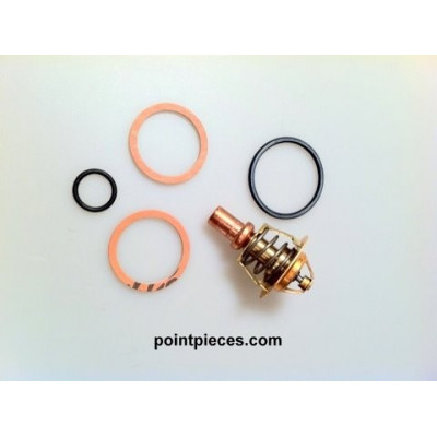 Frisquet Clapet thermostatique 60°, F3aa40021