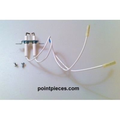 électrode saunier duval